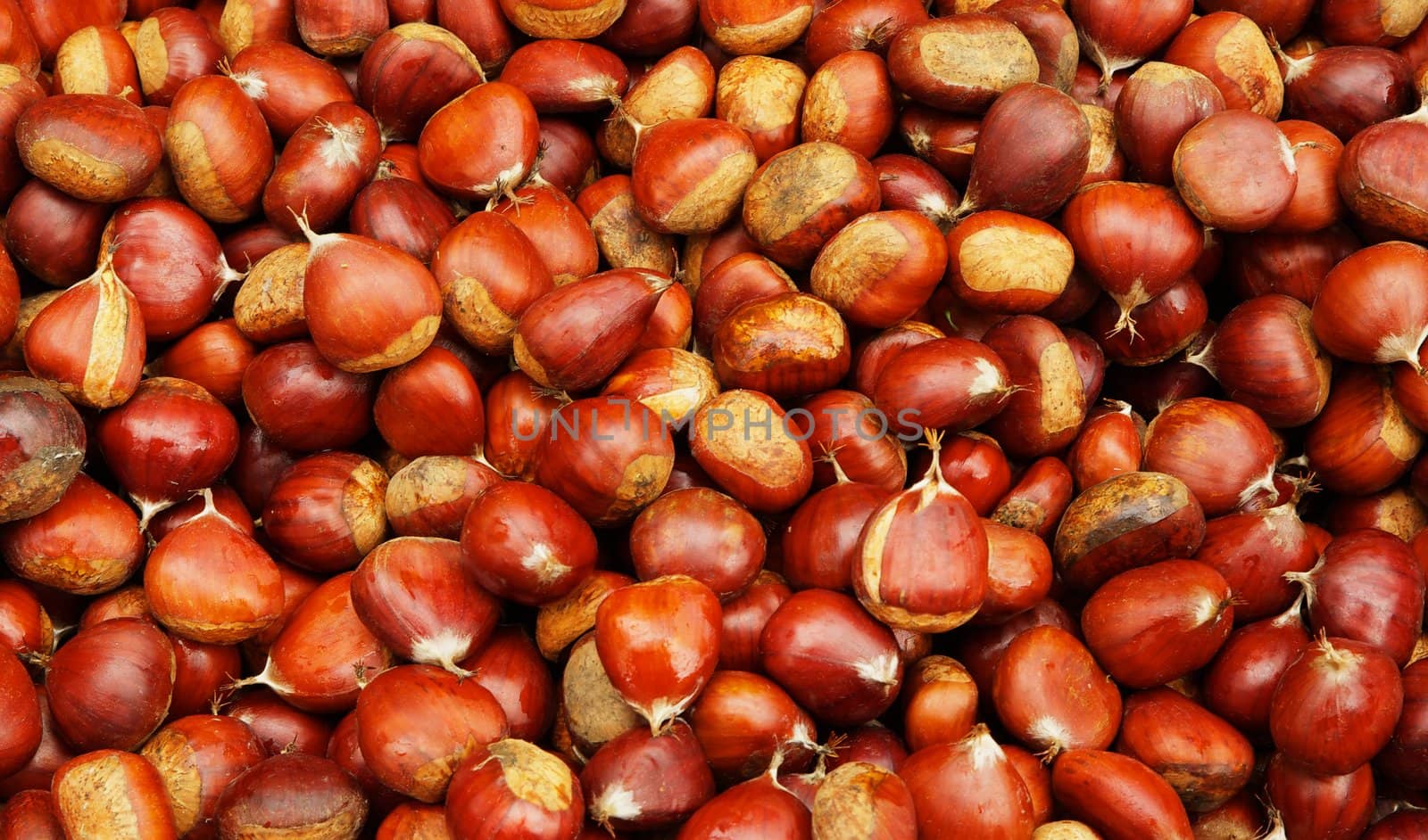 Pile of Brown Chestnuts by bobkeenan