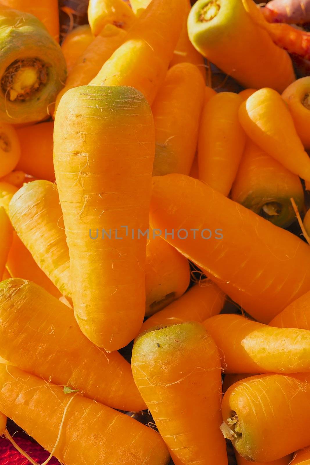 Short Fat Carrots by bobkeenan