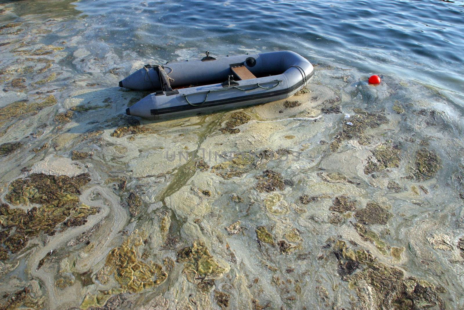 Contaminated sea