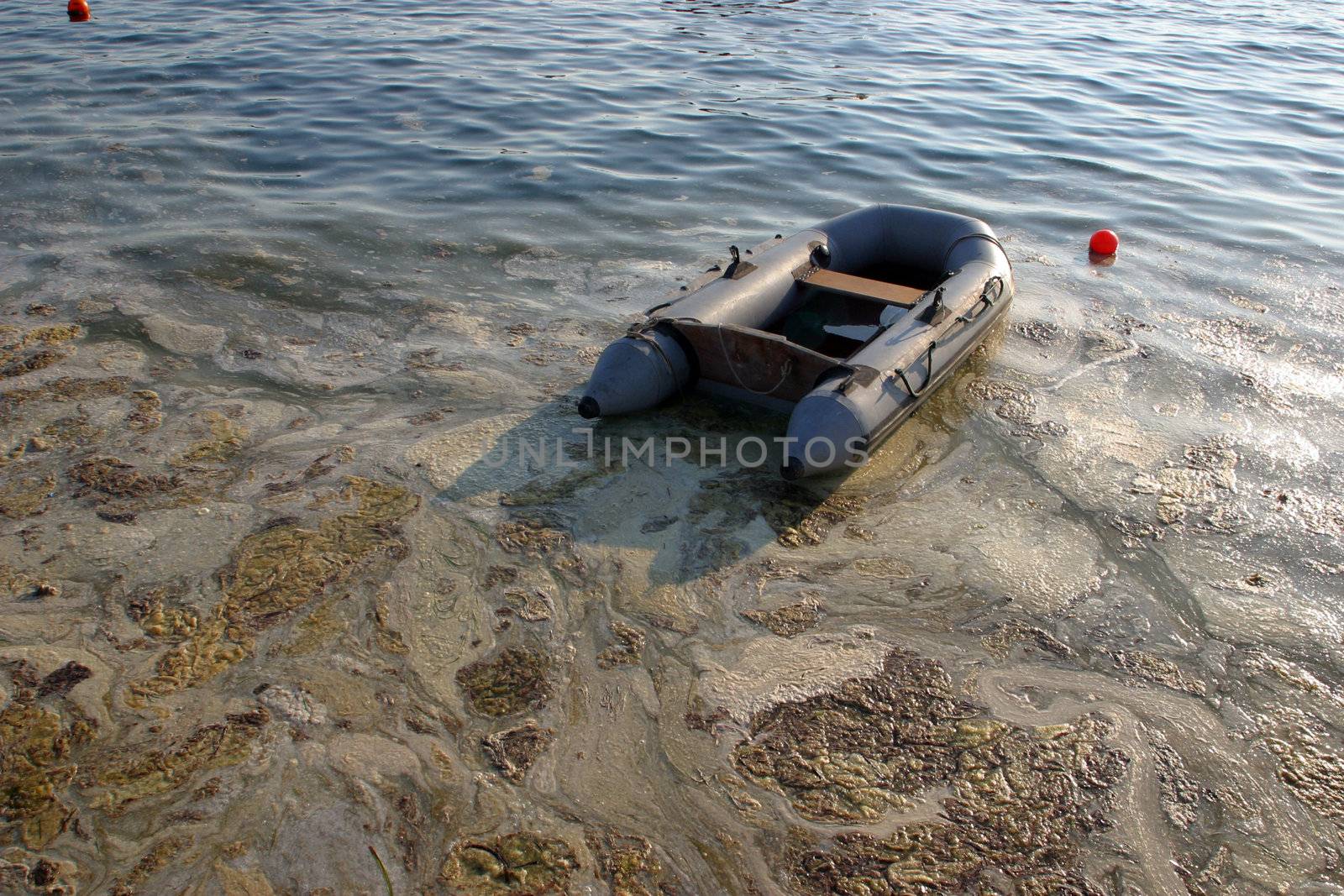 Contaminated sea