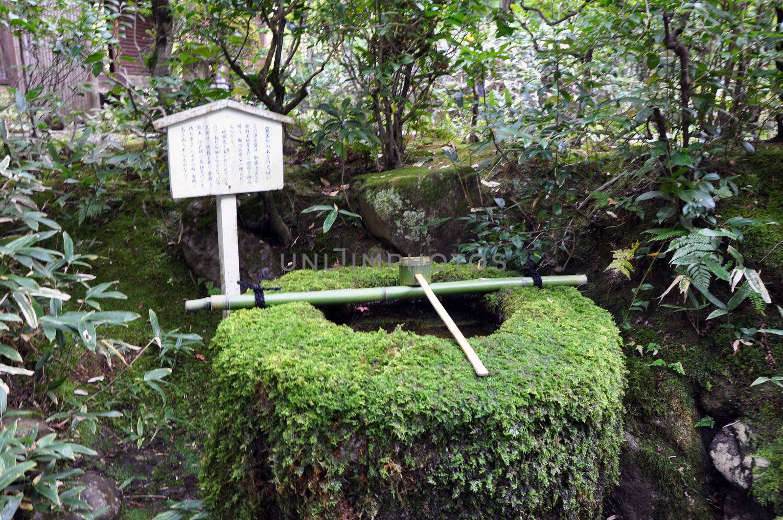Traditional Bamboo Fountain in Kyoto by siraanamwong