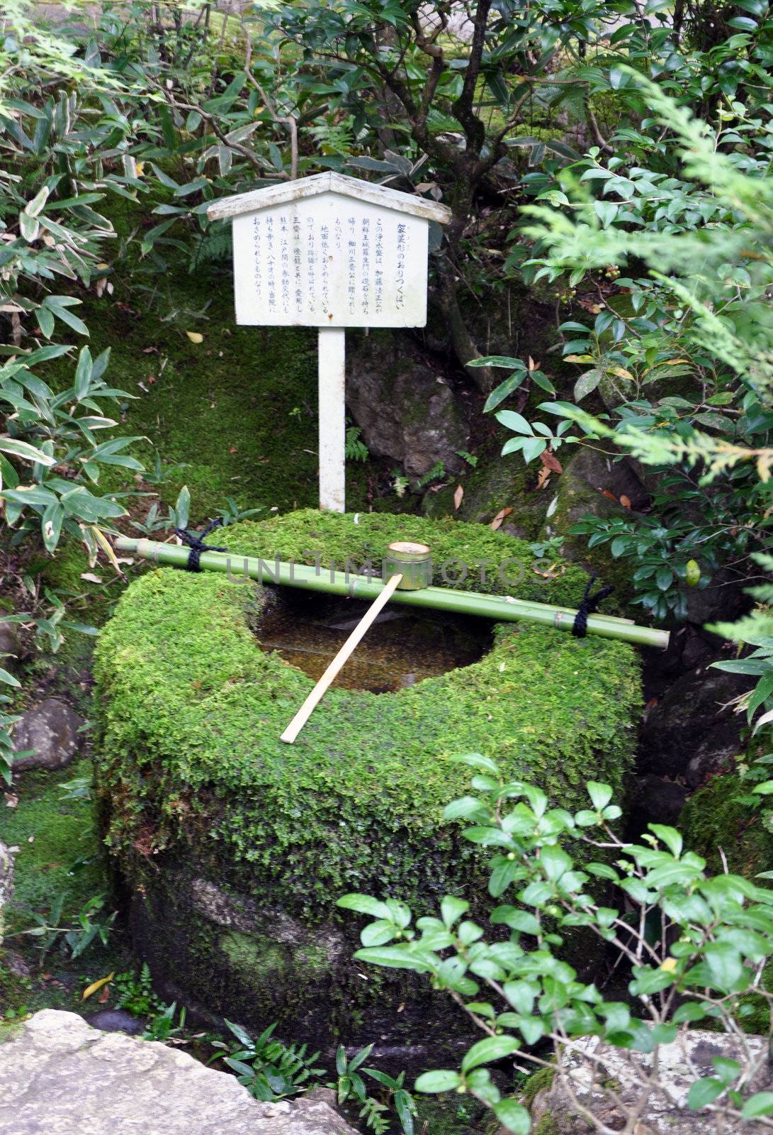 Traditional Bamboo Fountain in Koto-in temple, Kyoto, Japan