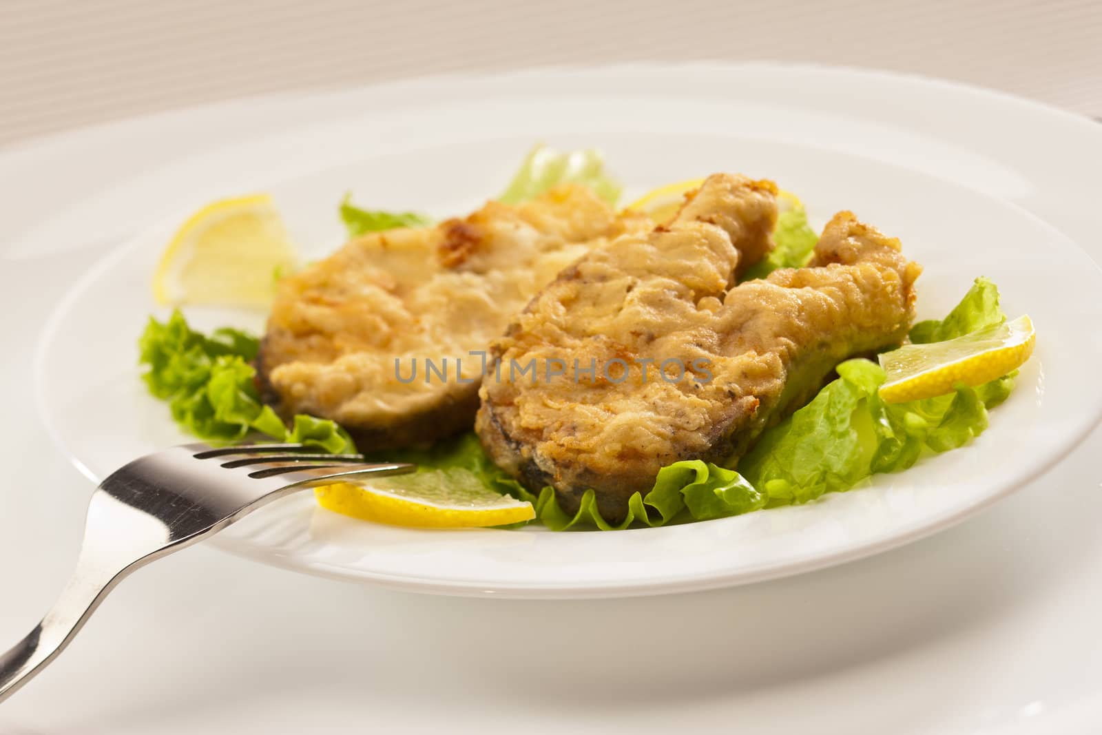 food series: freshfried fish with lettuce and lemon