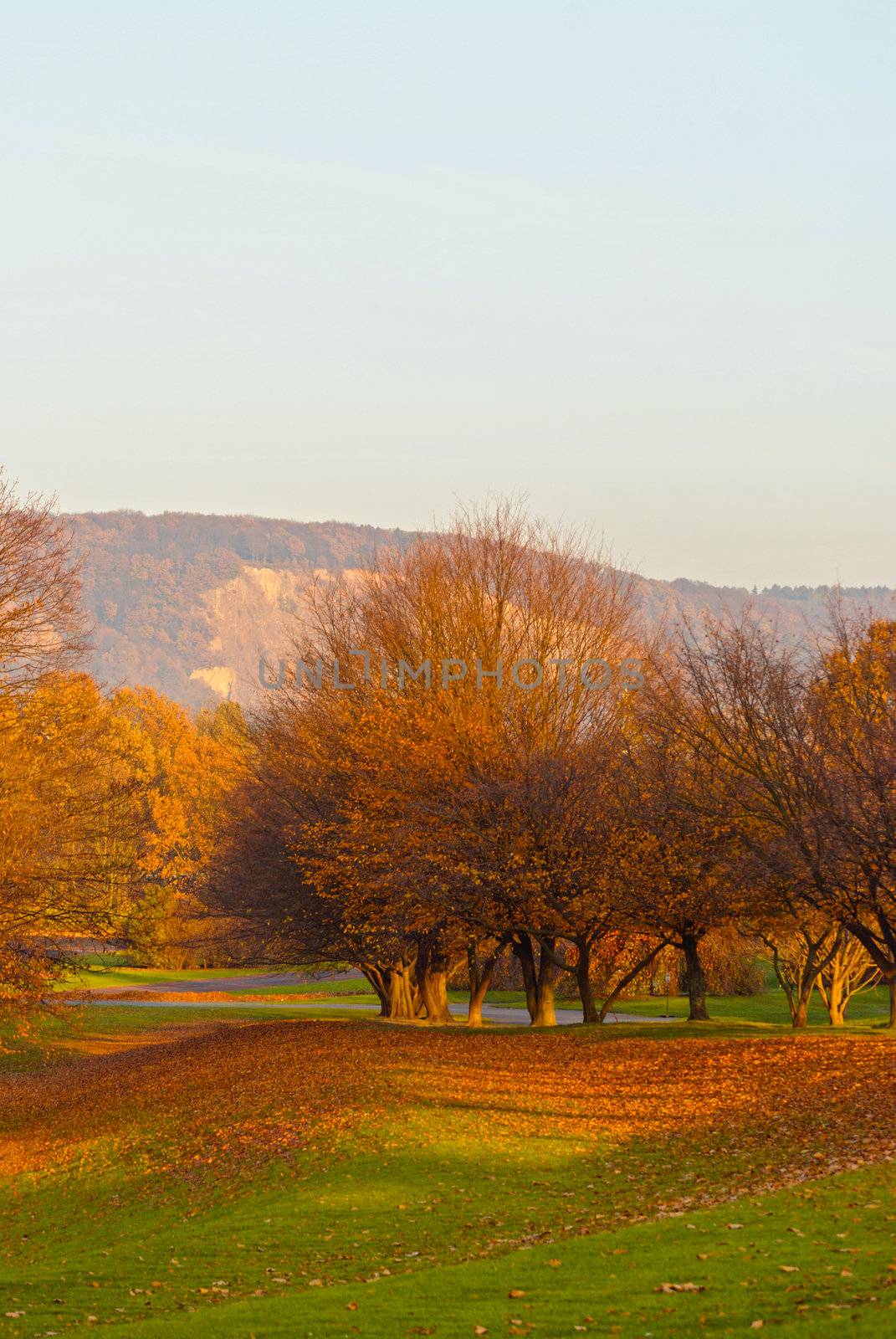 Rheinaue, a leisure park in autumn on the banks of the Rhine in Bonn, Germany