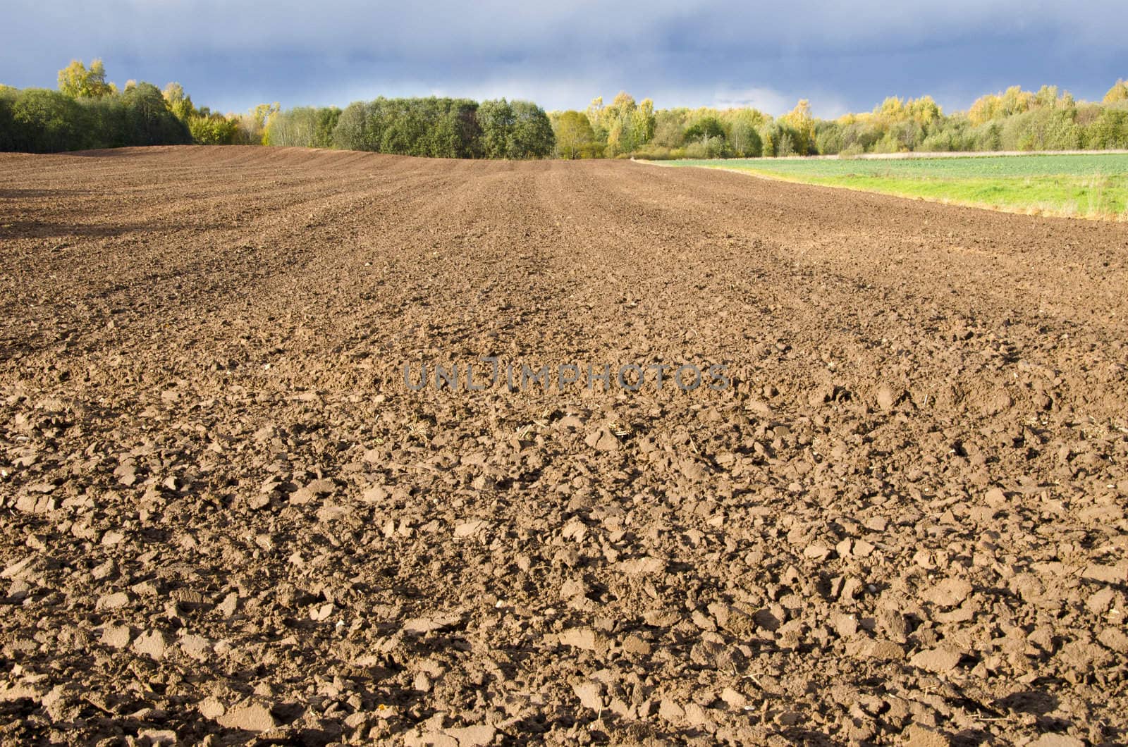 Freshly plowed agricultural field surrounded by forest.