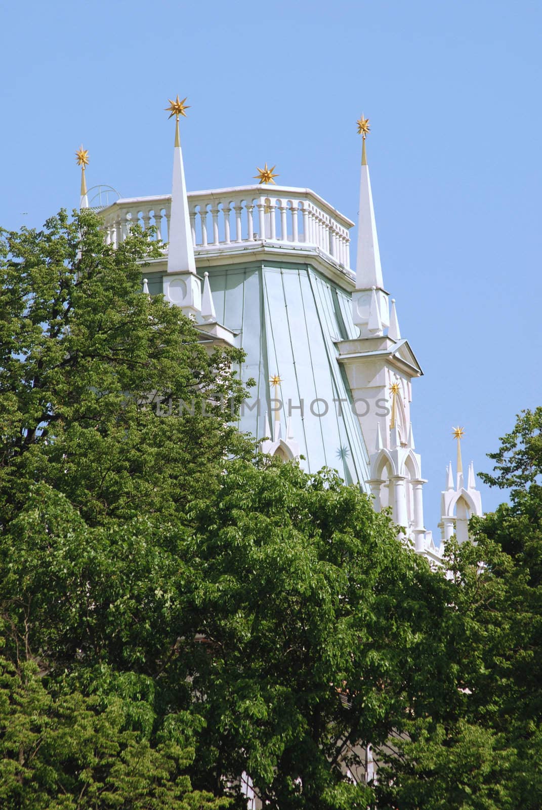 queen Ekaterina palace roof in  Moscow. Zarizino (Tsaritsino, tsaritsyno, tsaritsino) 