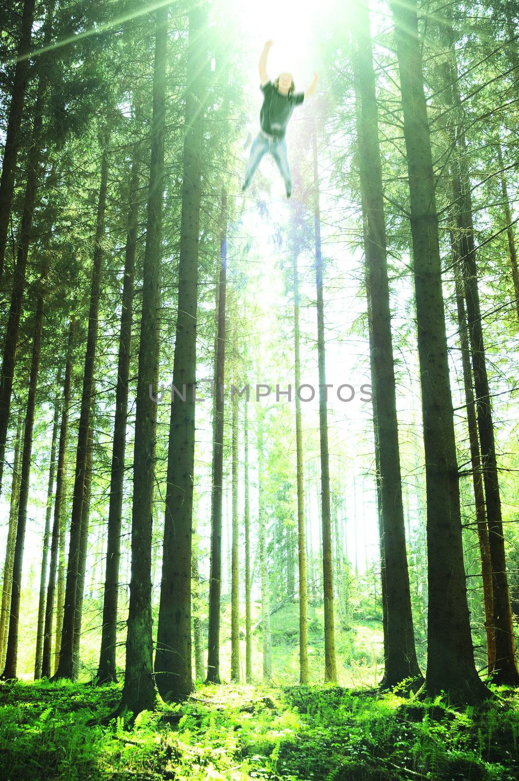 man ubducted by aliens in the forrest