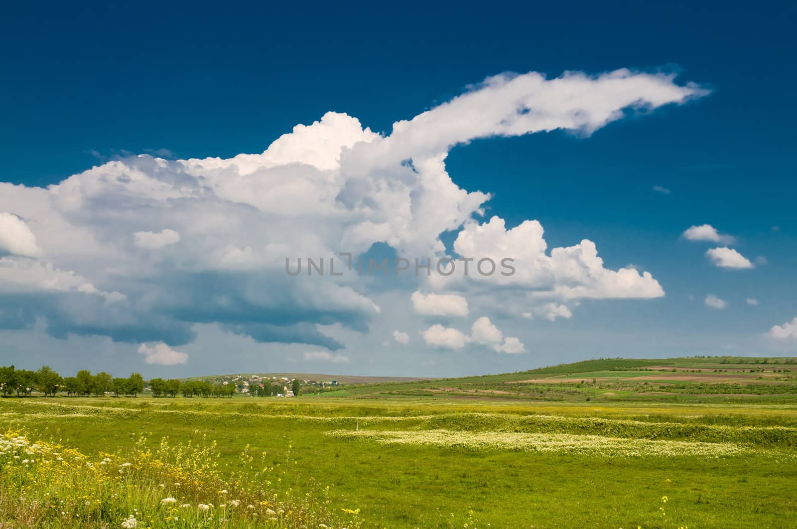 summer rural landscape with beautiful cloudy sky
