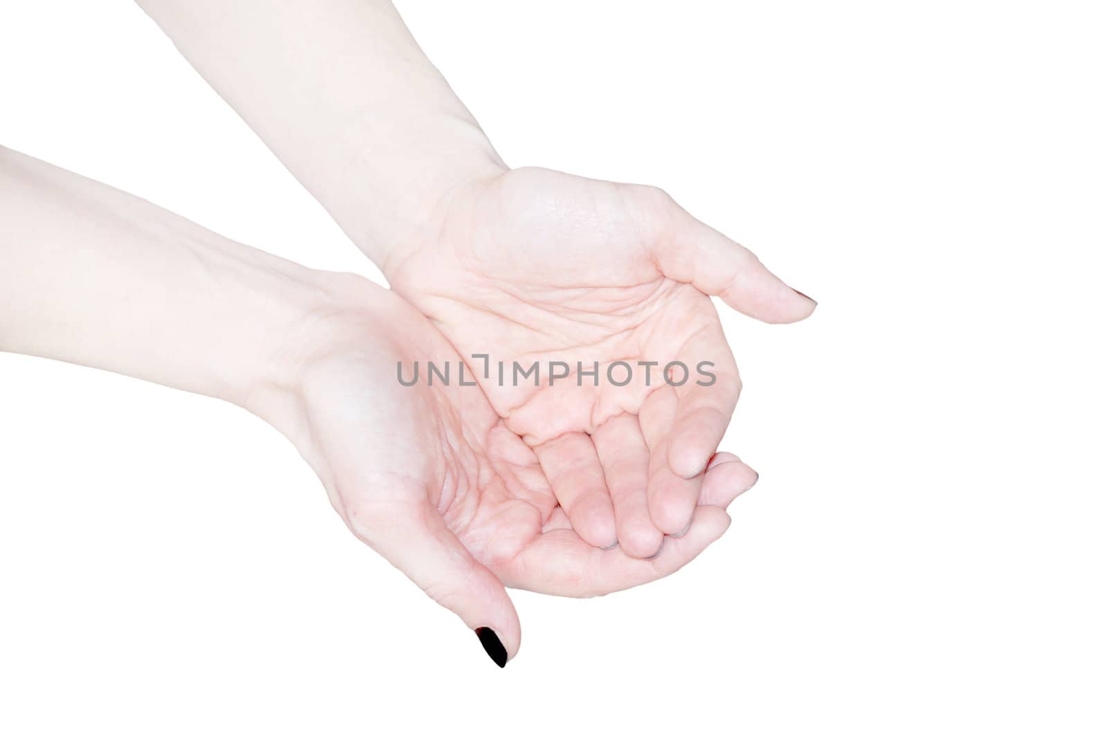 Empty open woman's hands isolated on white by svtrotof