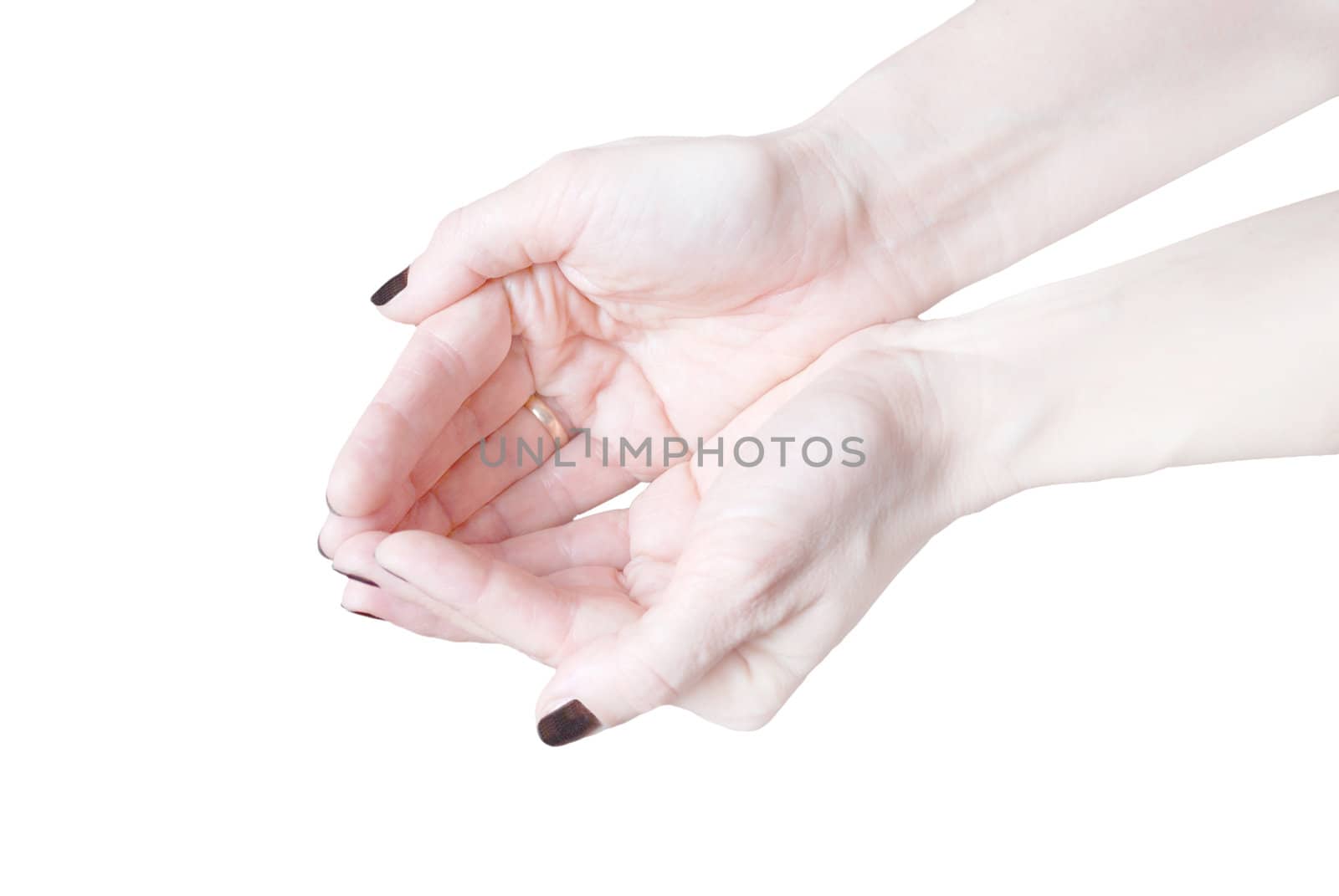 Empty open woman's hands isolated on white by svtrotof