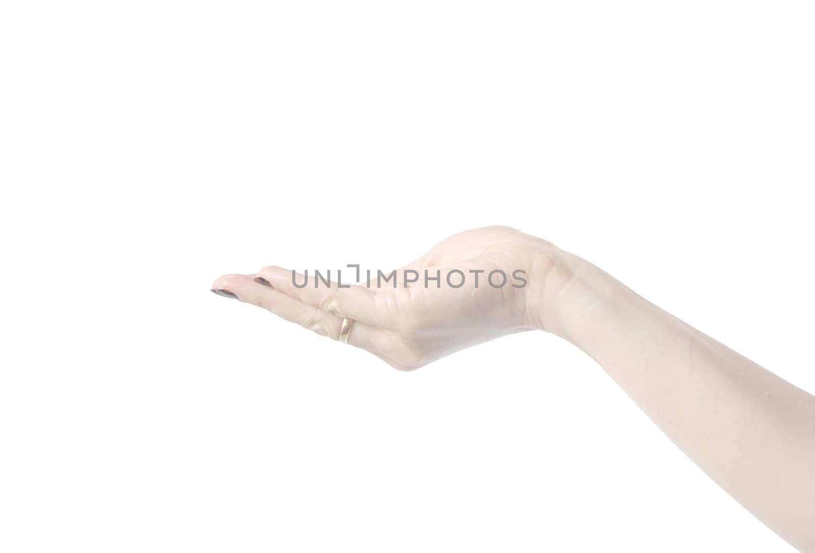 Empty open woman's hands isolated on white 