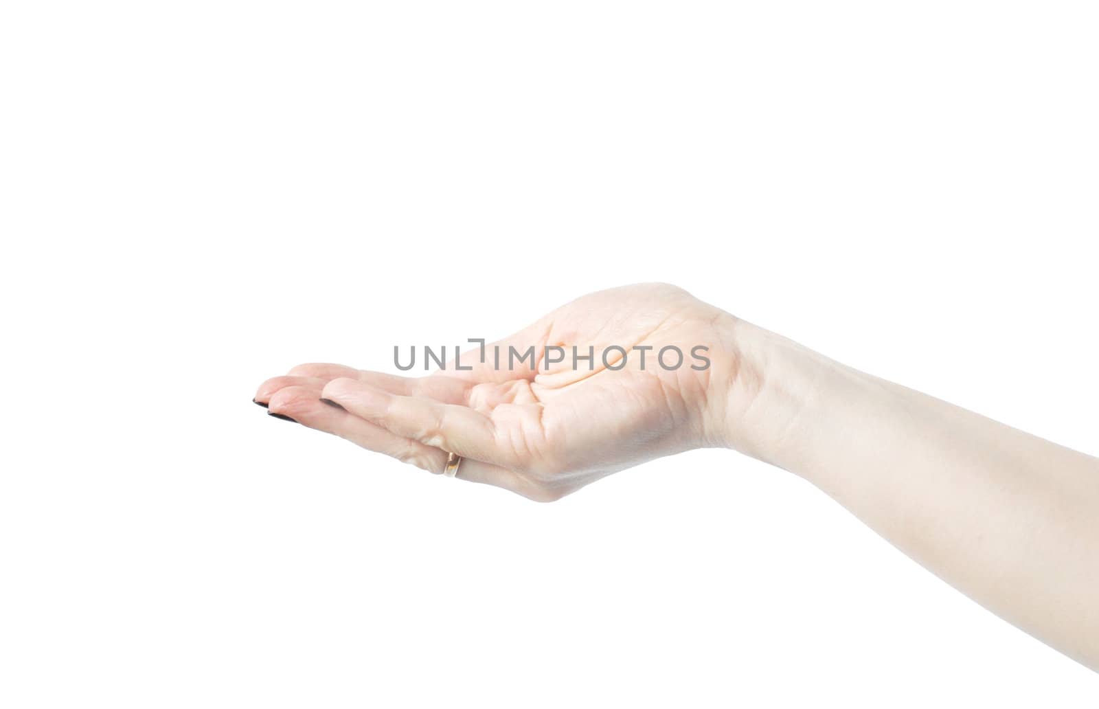 Empty open woman's hands isolated on white  by svtrotof