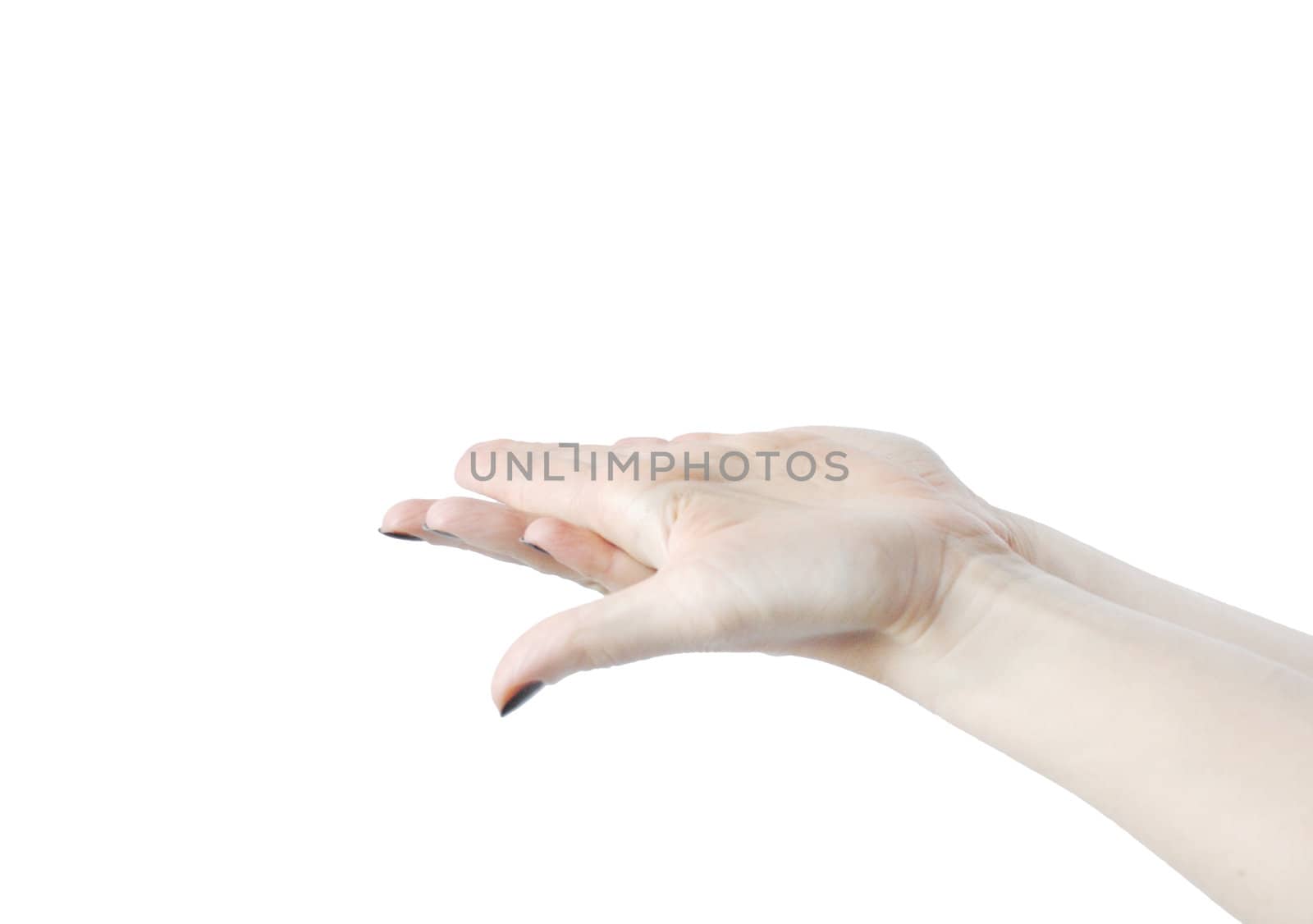 Empty open woman's hands isolated on white 