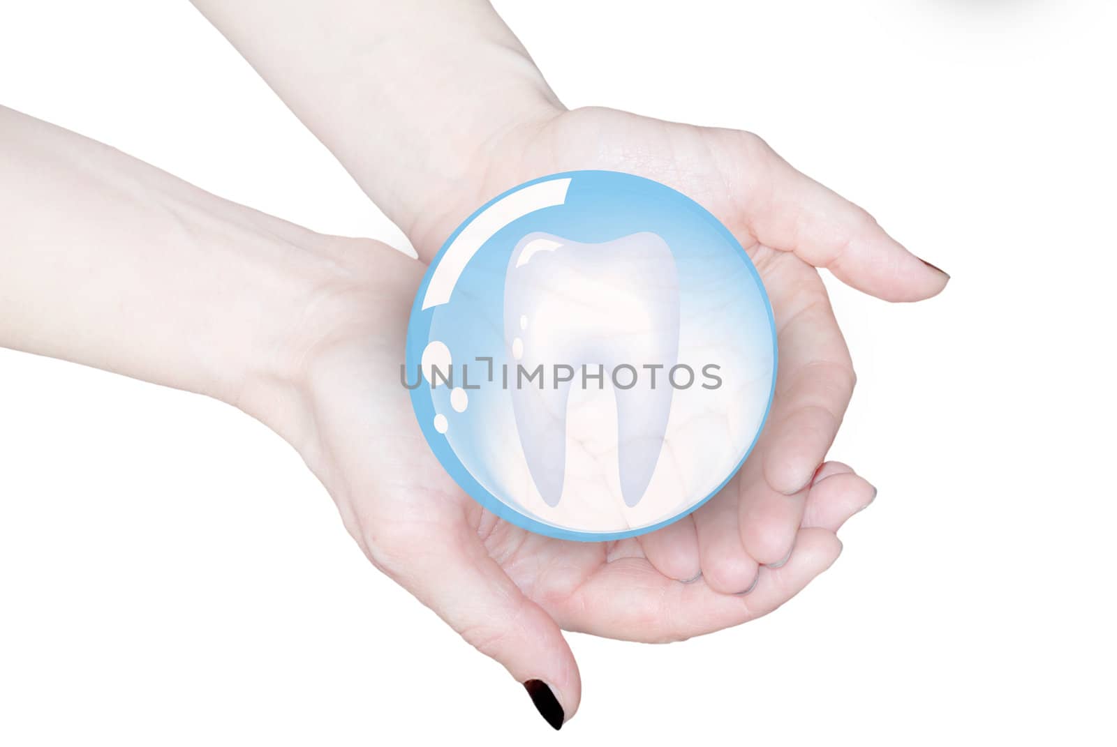 hands holding tooth in glass sphere, dentistry  
