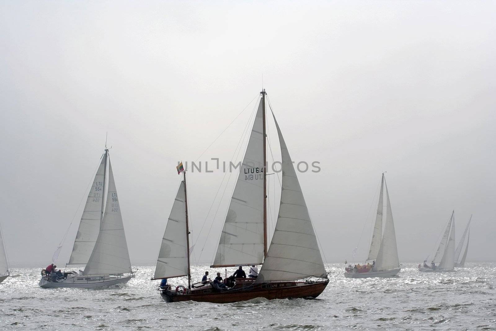 A group of yachts are racing in a regatta. Yacht silhouettes fading out in a sunny fog