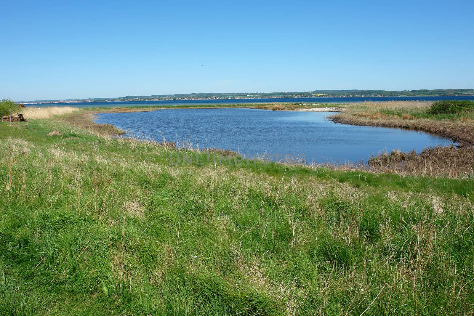 Landscape of a small lake with green grass around in a summer day