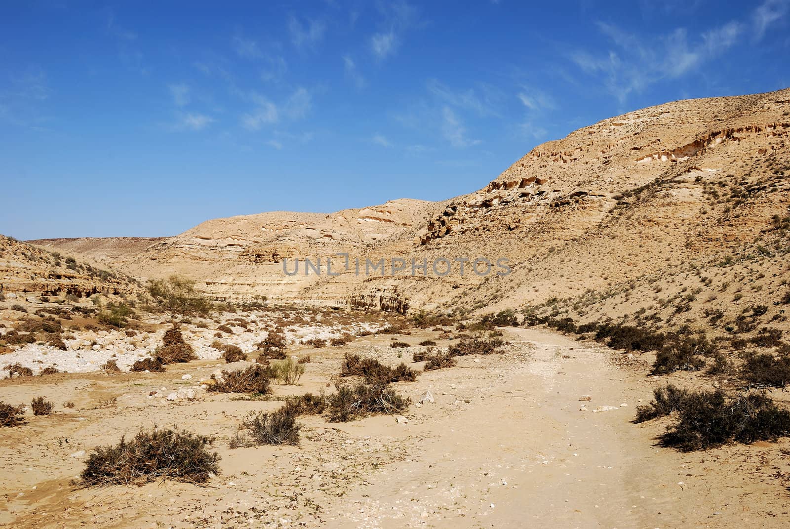 Fragment of desert under blue sky. Desert Negev, Israel.