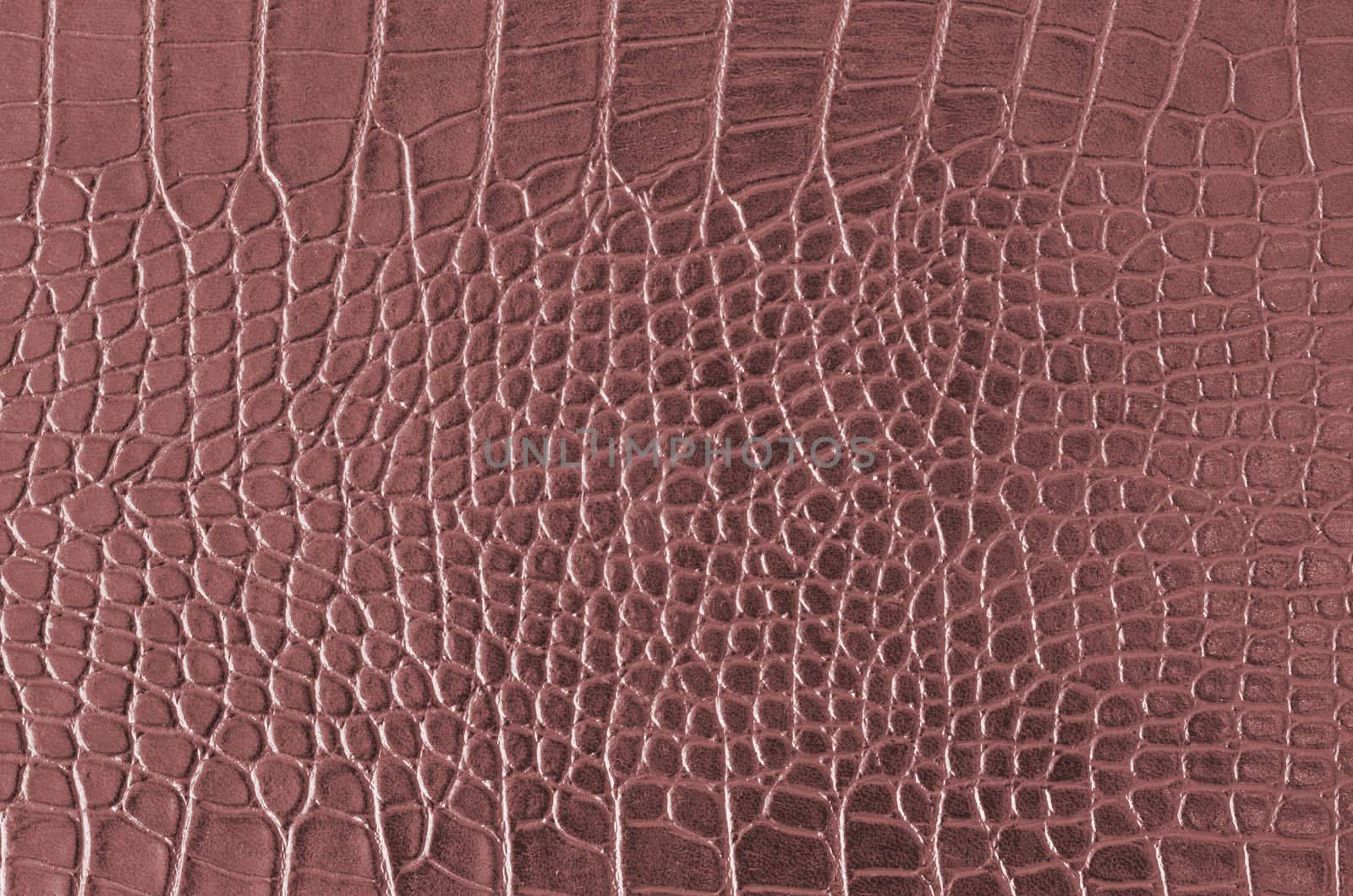 Crocodile Skin Pattern , Alligator skin seamless texture