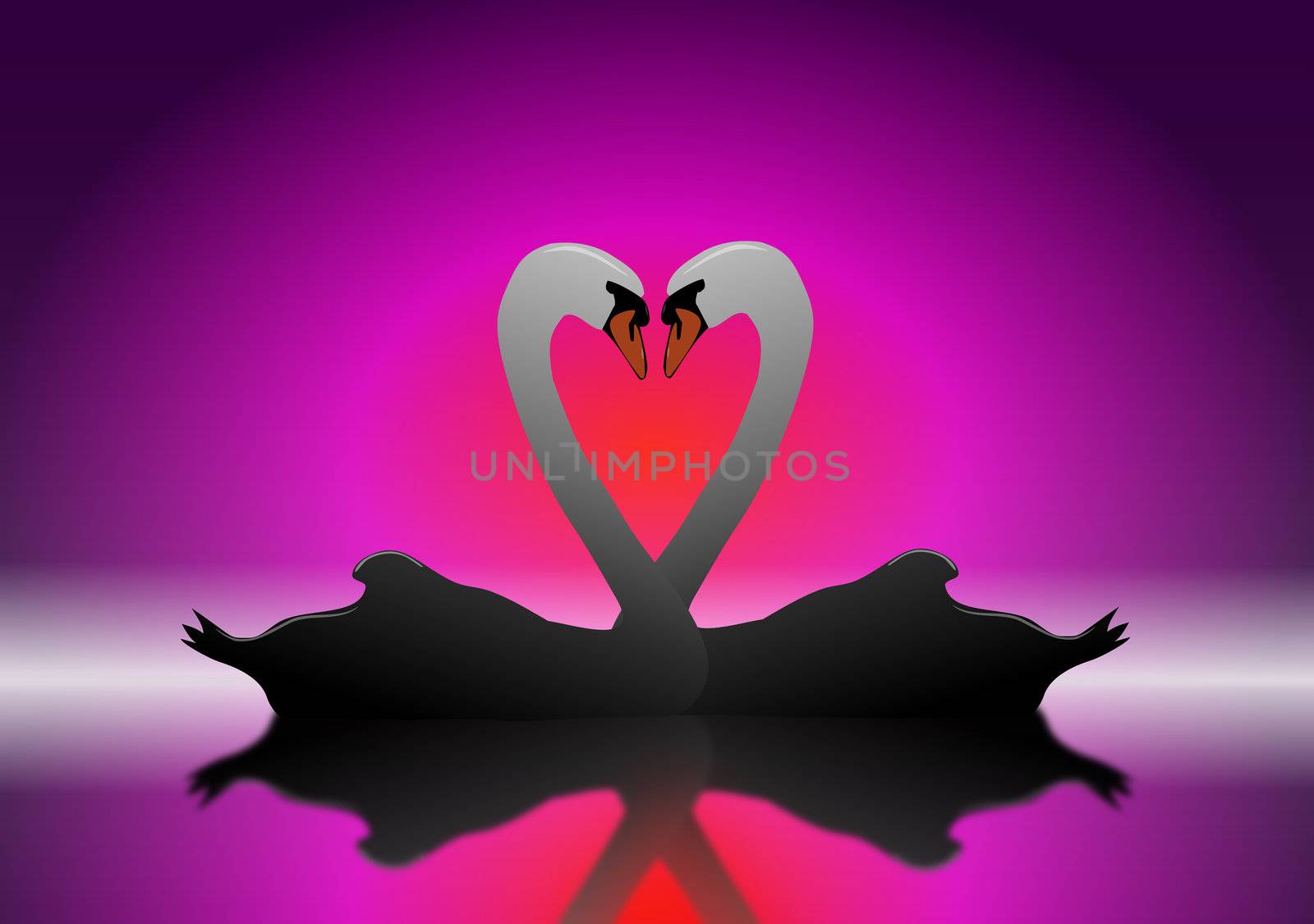 Romantic concept illustration depicting two mirrored swans forming a heart shape against red and purple background and reflecting into foreground.
