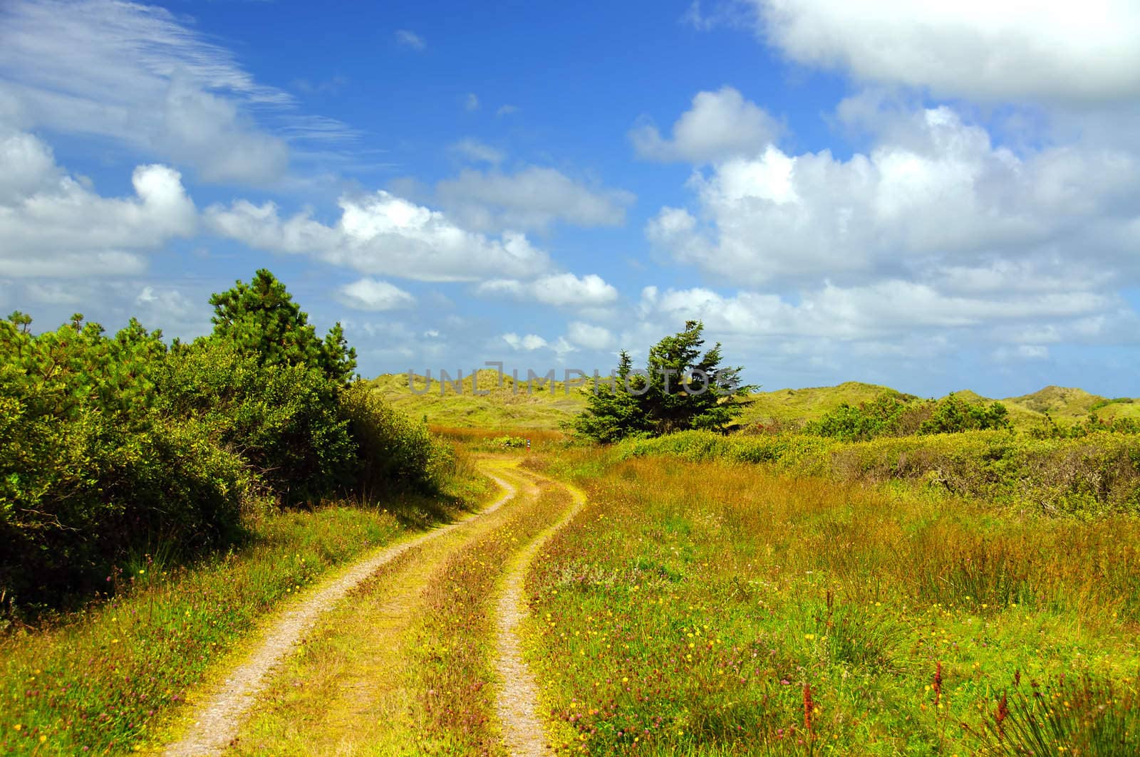 A narrow winding road through the moors