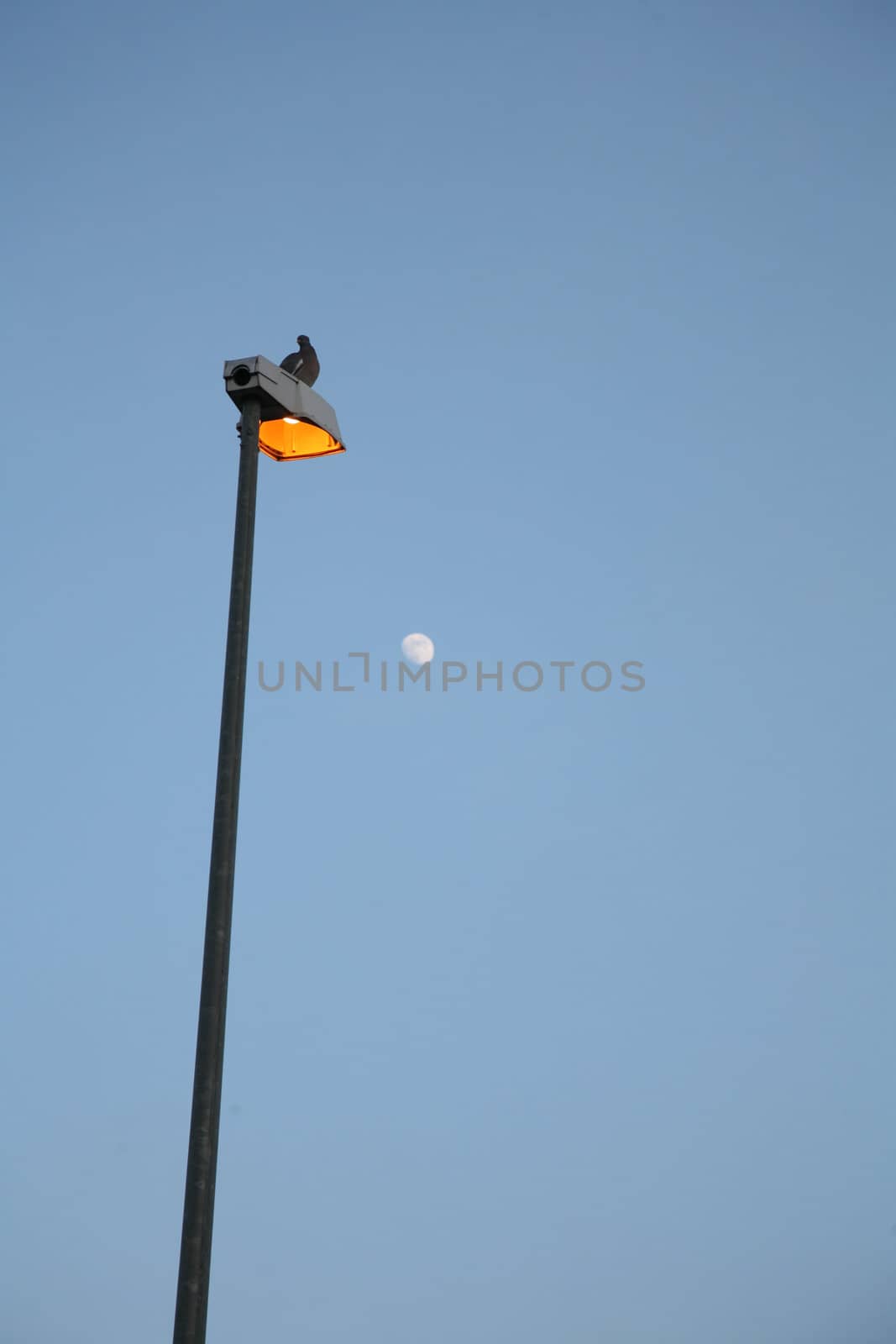 electric light from public street and moon