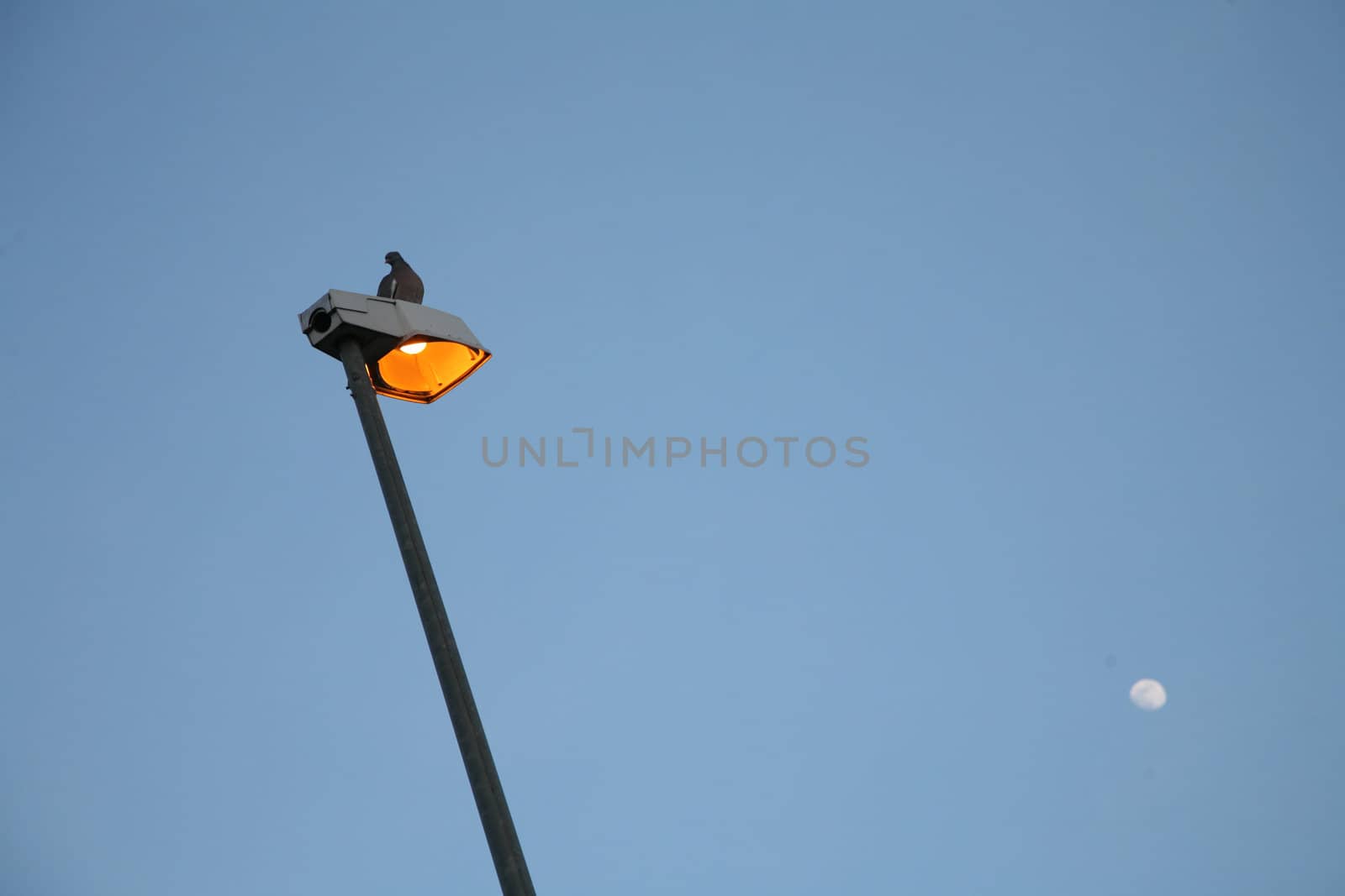 electric light from public street and moon