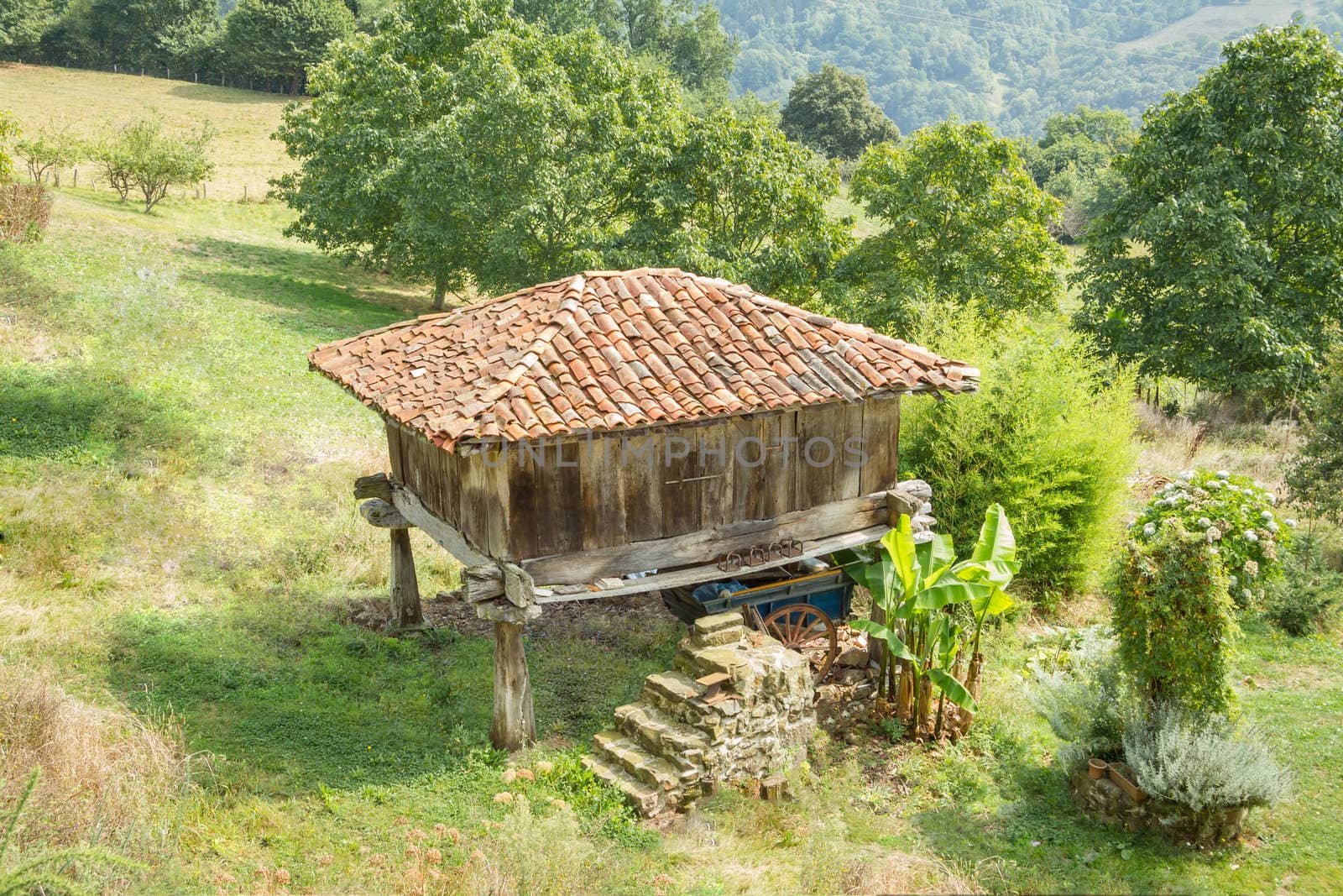 View of typical granary of Asturias, in Spain, raised by stone pillars and known as "horreo"