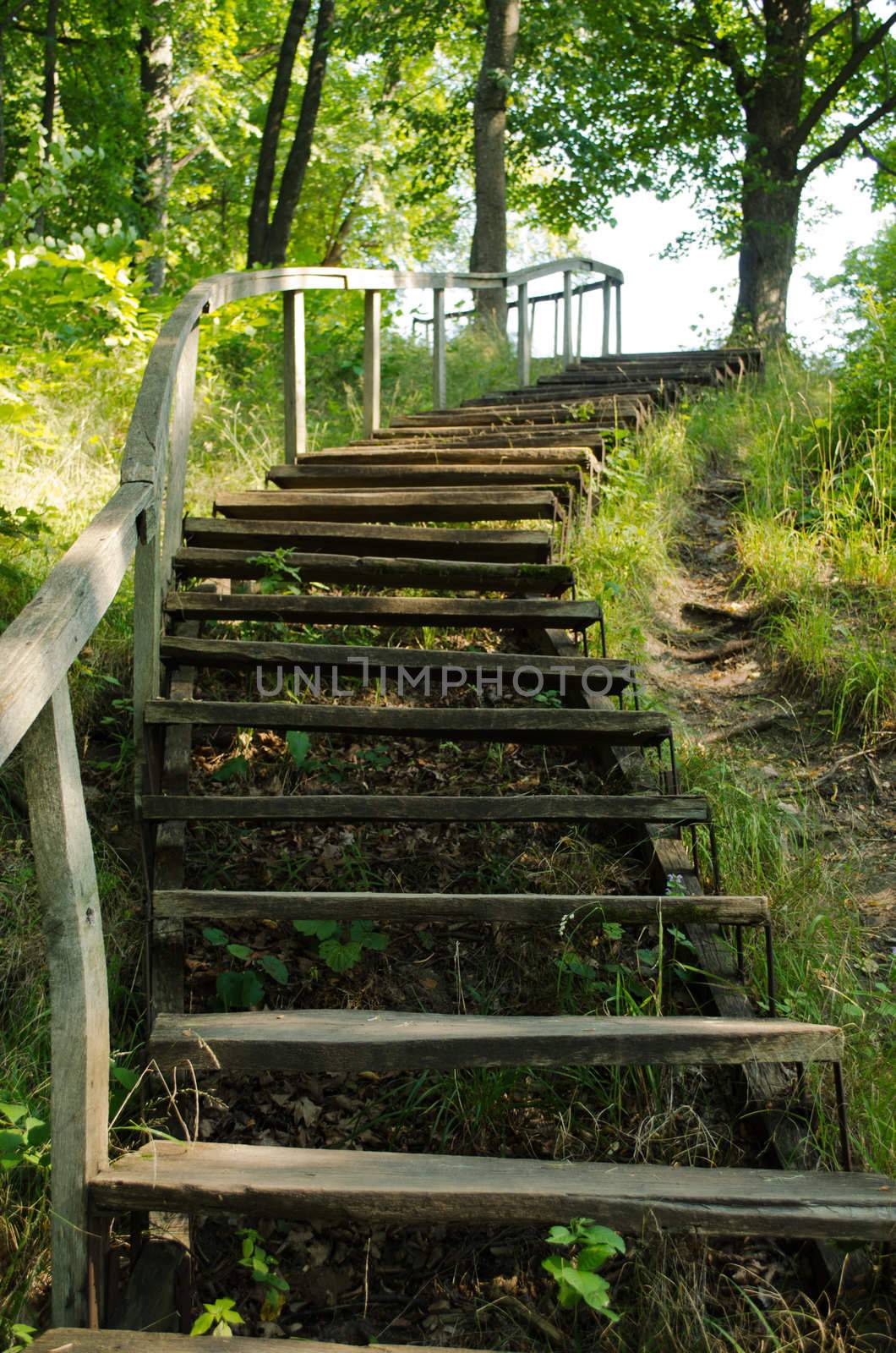 old wooden stairs leading to the mountains in the park