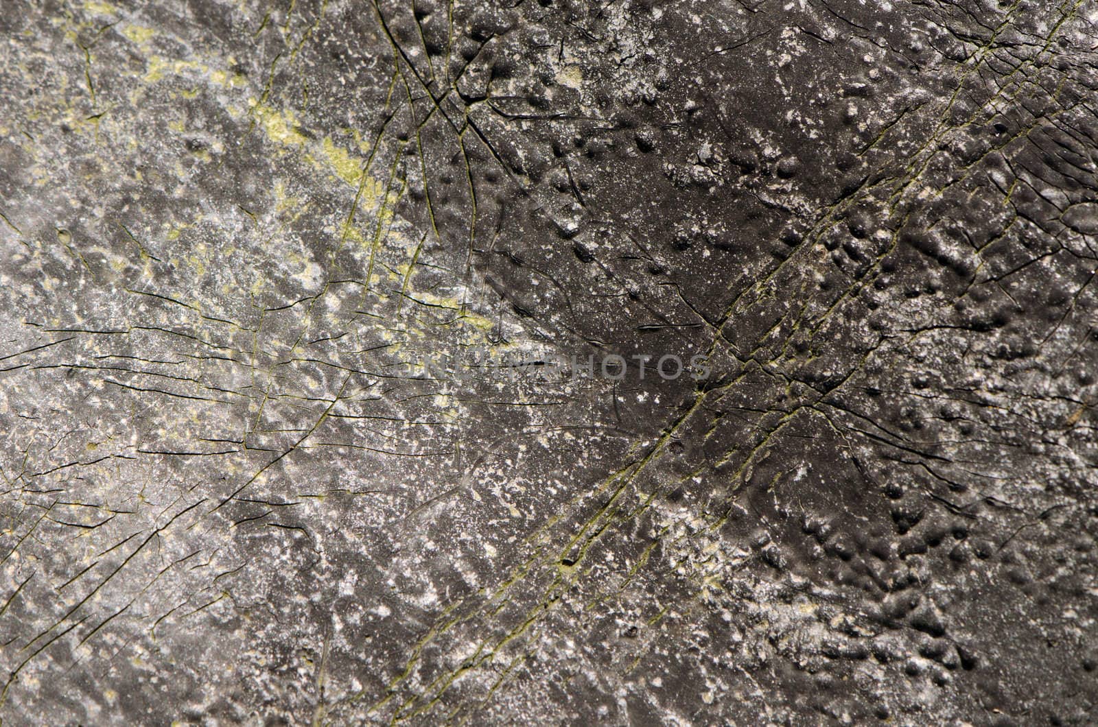 bumpy dirty stagnant tar background texture closeup