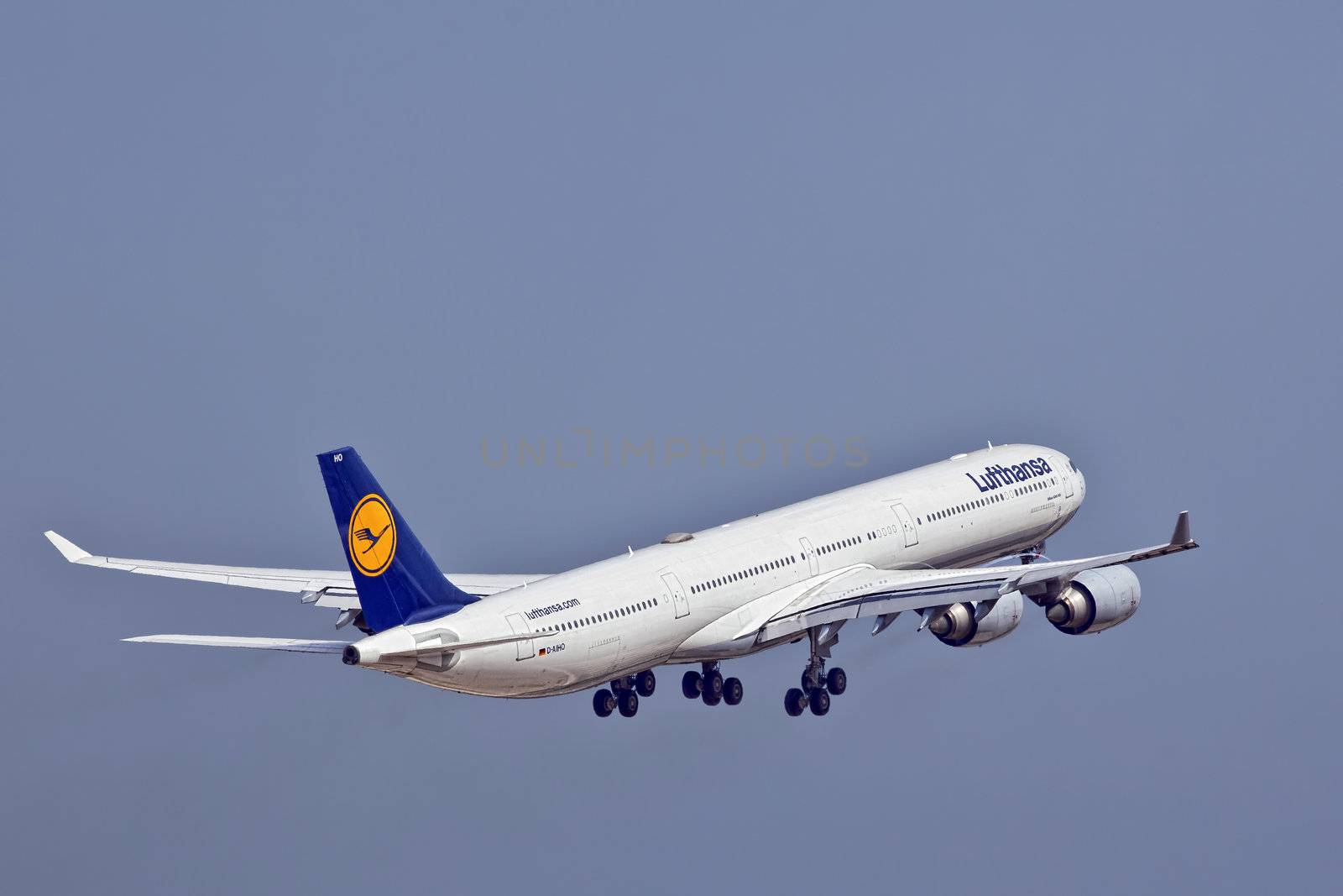 LUQA, MALTA - 25 SEP - Lufthansa A340 reg number D-AIHO  on 25 September 2011