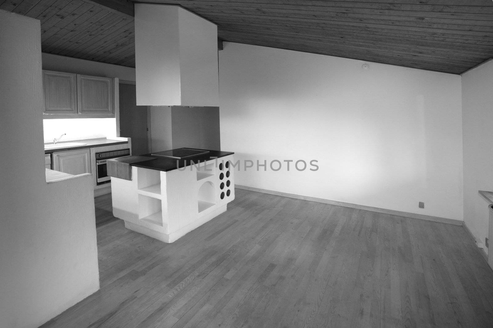 views of an empty house for sale  in denmark 