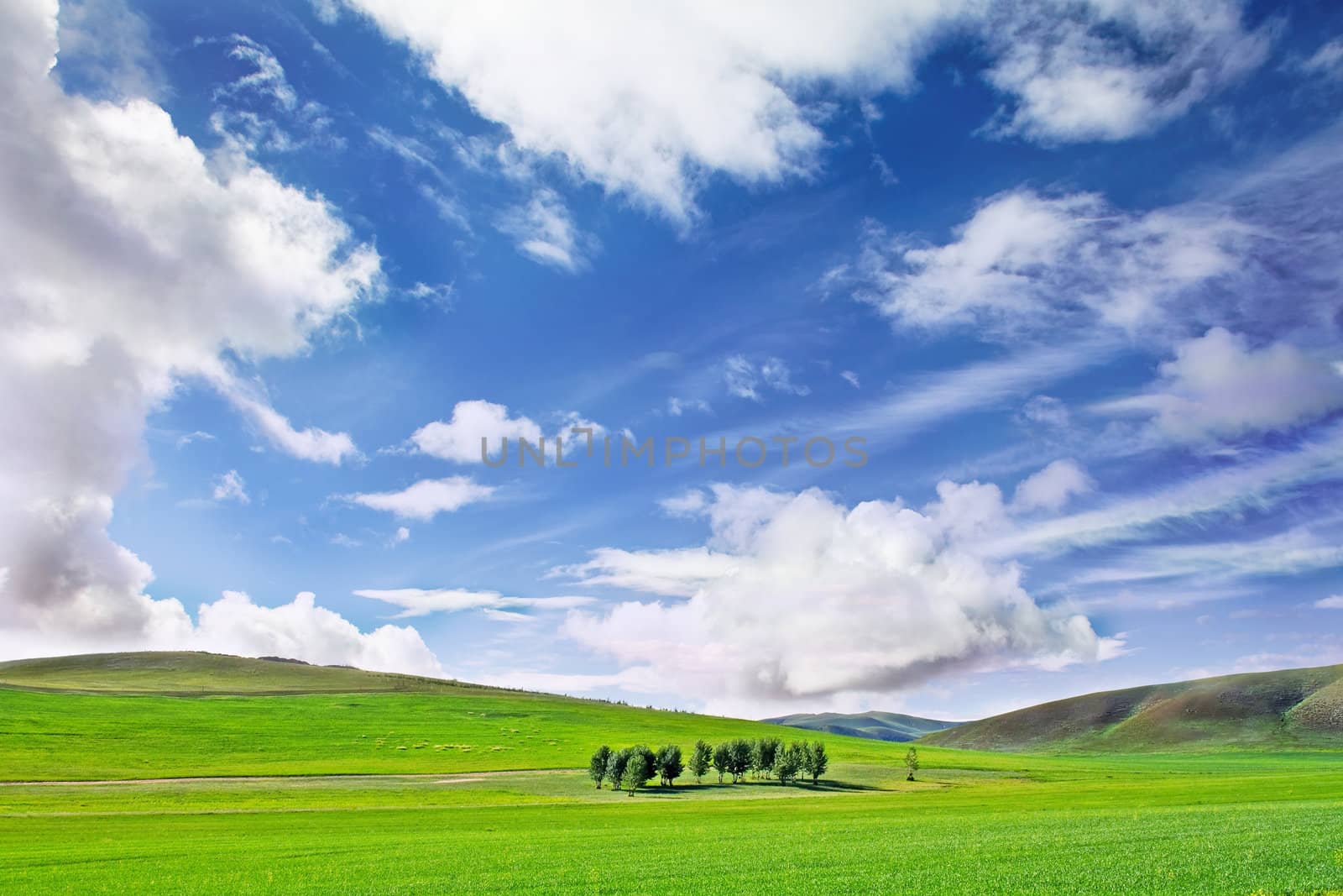 Landscape photo of a farm grass plain in a moutain area under blue sky