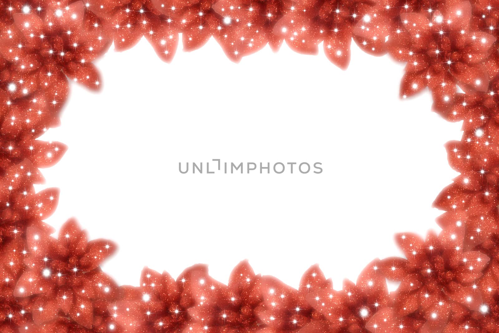 Christmas white background, surrounded by poinsettias