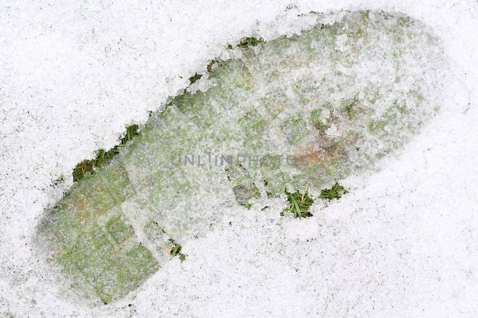 Closeup of a shoeprint on ice covered lawn.