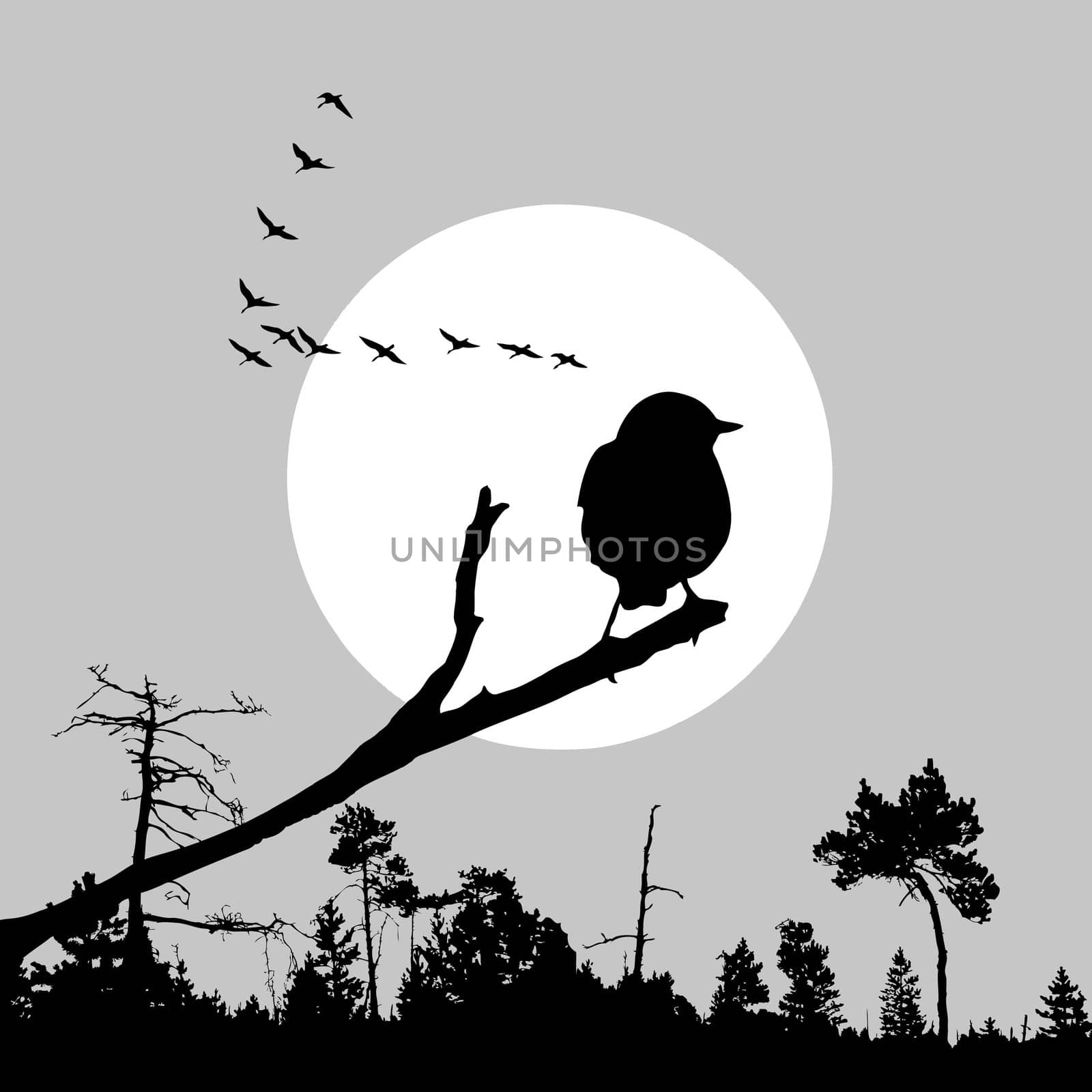 vector illustration of the bird on branch