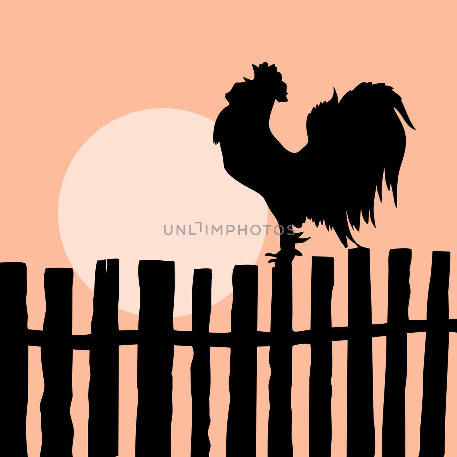 vector silhouette of the cock on old fence by basel101658