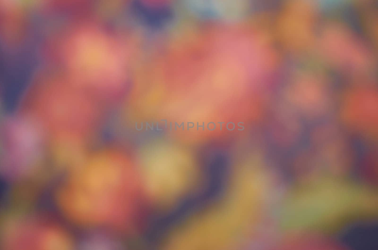 Unusual multicolored blurry spots in a festive background