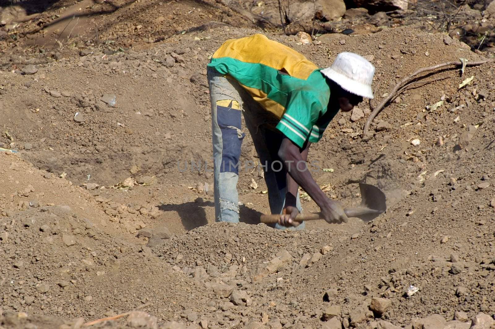 To the goldmine of Poura the gold diggers come from everywhere in the hope of finding a little gold after the season of the cultures. Women, children and men of very old are here in a universe of dust under a blazing sun. In Burkina Faso Faso the research of gold in the wild mines is the only activity which makes it possible to save the population of misery.                             