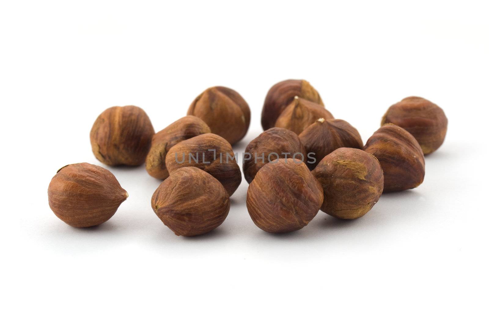 Hazel nuts isolated on white background