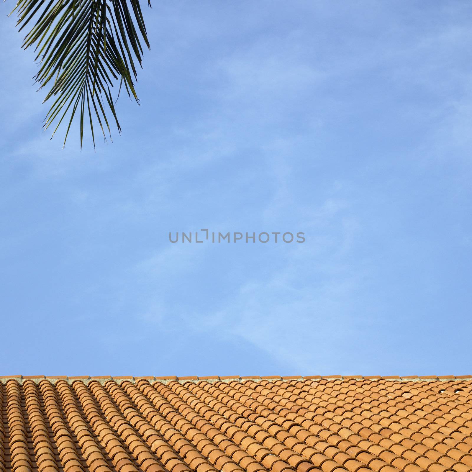 Clay roof and blue sky
