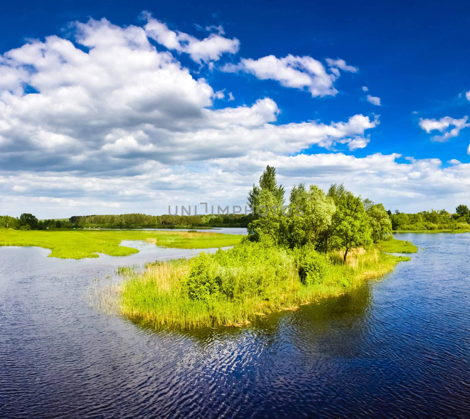 Island with trees on blue cold lake by ryhor