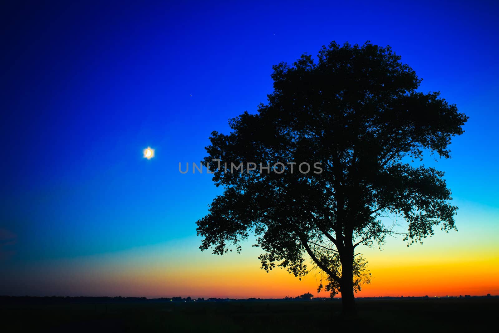 Sunset with a silhouette of a lonely tree