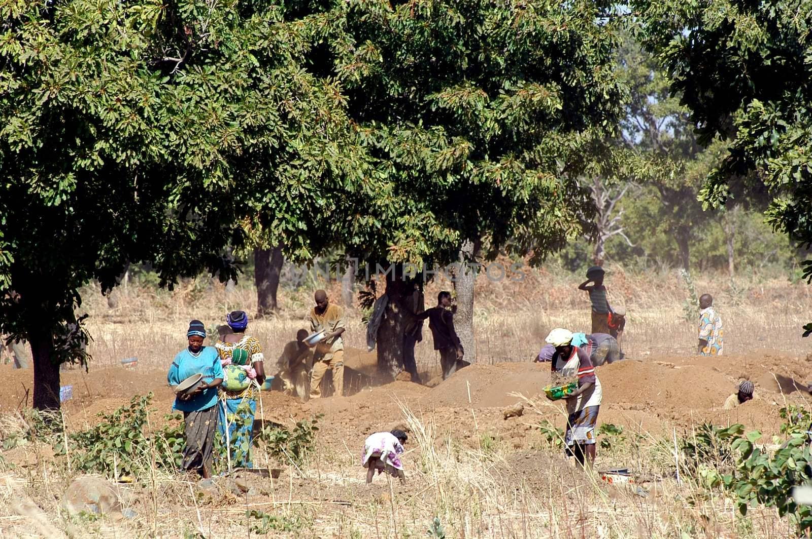 To the goldmine of Poura the gold diggers come from everywhere in the hope of finding a little gold after the season of the cultures. Women, children and men of very old are here in a universe of dust under a blazing sun. In Burkina Faso Faso the research of gold in the wild mines is the only activity which makes it possible to save the population of misery.                             