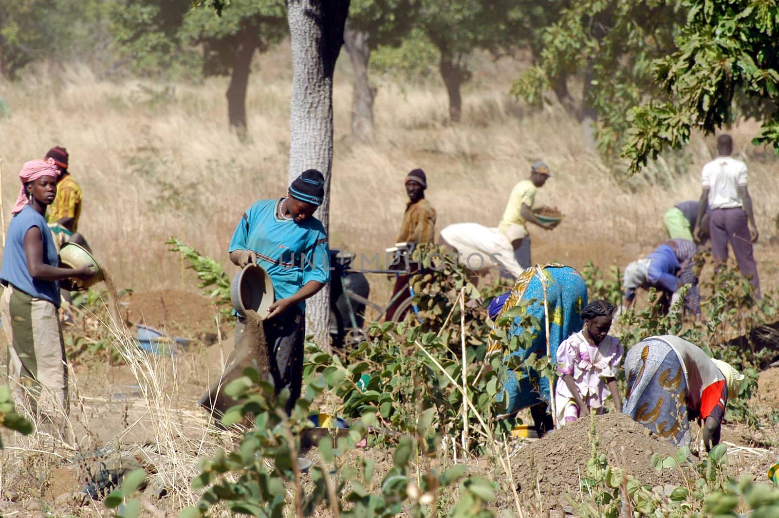 To the goldmine of Poura the gold diggers come from everywhere in the hope of finding a little gold after the season of the cultures. Women, children and men of very old are here in a universe of dust under a blazing sun. In Burkina Faso Faso the research of gold in the wild mines is the only activity which makes it possible to save the population of misery.                             