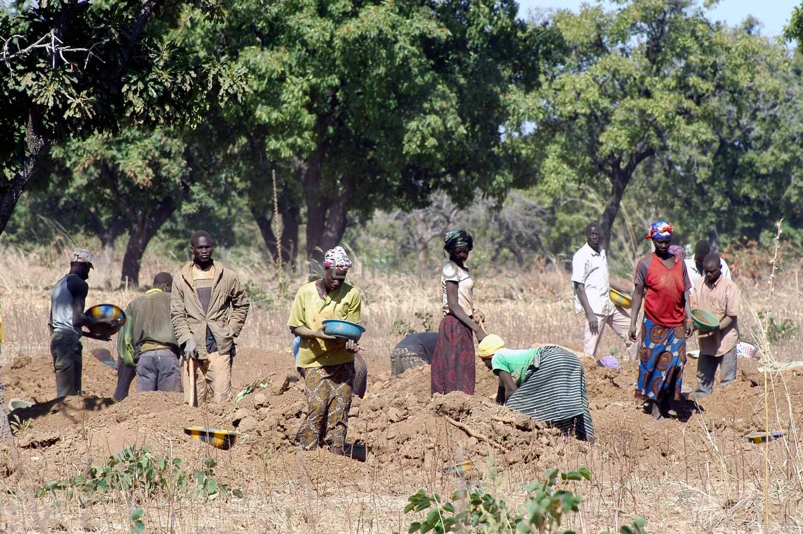 To the goldmine of Poura the gold diggers come from everywhere in the hope of finding a little gold after the season of the cultures. Women, children and men of very old are here in a universe of dust under a blazing sun. In Burkina Faso Faso the research of gold in the wild mines is the only activity which makes it possible to save the population of misery.                             