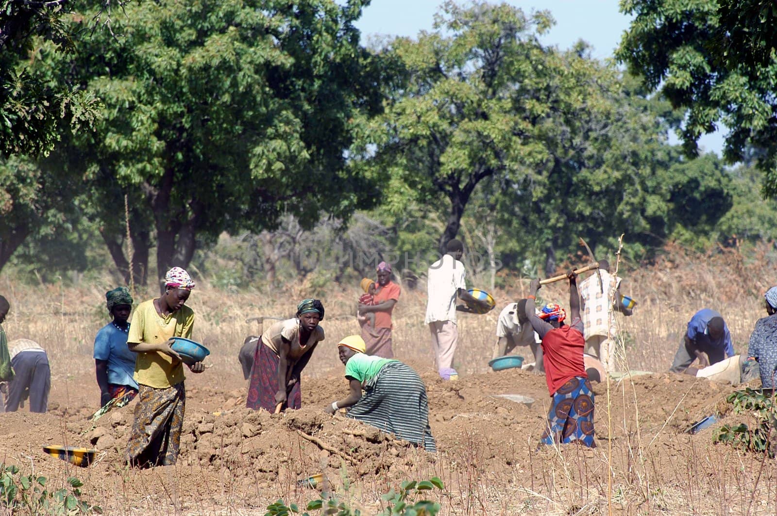 To the goldmine of Poura the gold diggers come from everywhere in the hope of finding a little gold after the season of the cultures. Women, children and men of very old are here in a universe of dust under a blazing sun. In Burkina Faso Faso the research of gold in the wild mines is the only activity which makes it possible to save the population of misery.                             