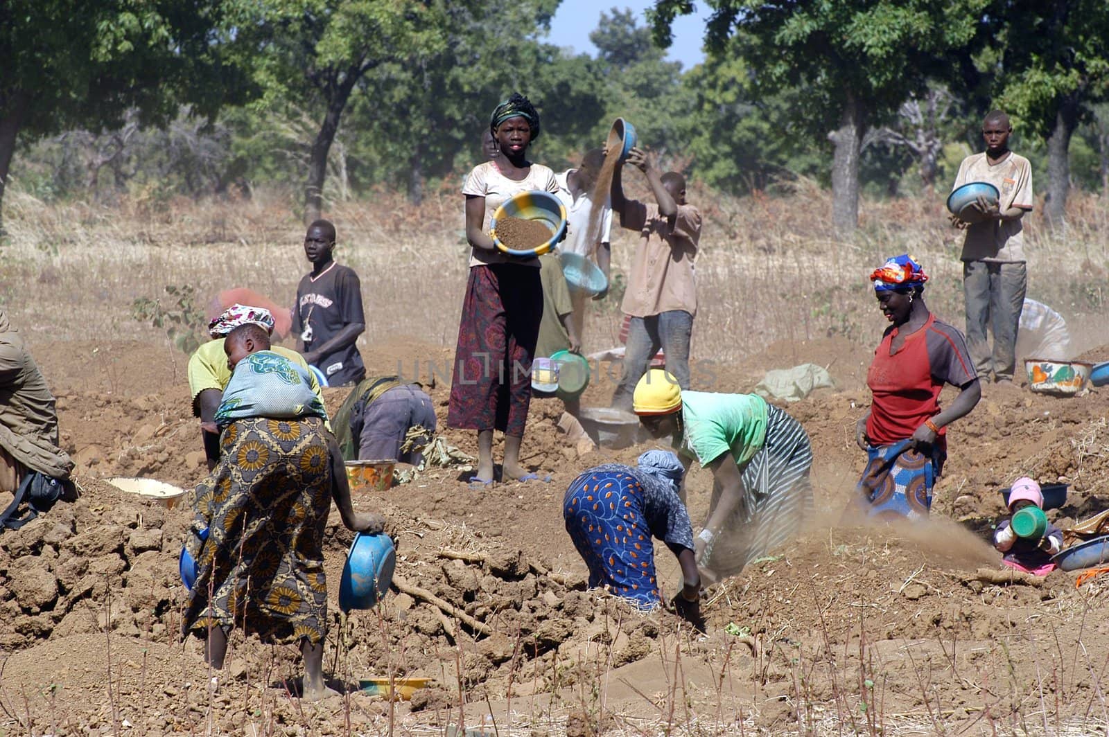 To the goldmine of Poura the gold diggers come from everywhere in the hope of finding a little gold after the season of the cultures. Women, children and men of very old are here in a universe of dust under a blazing sun. In Burkina Faso Faso the research of gold in the wild mines is the only activity which makes it possible to save the population of misery.                             