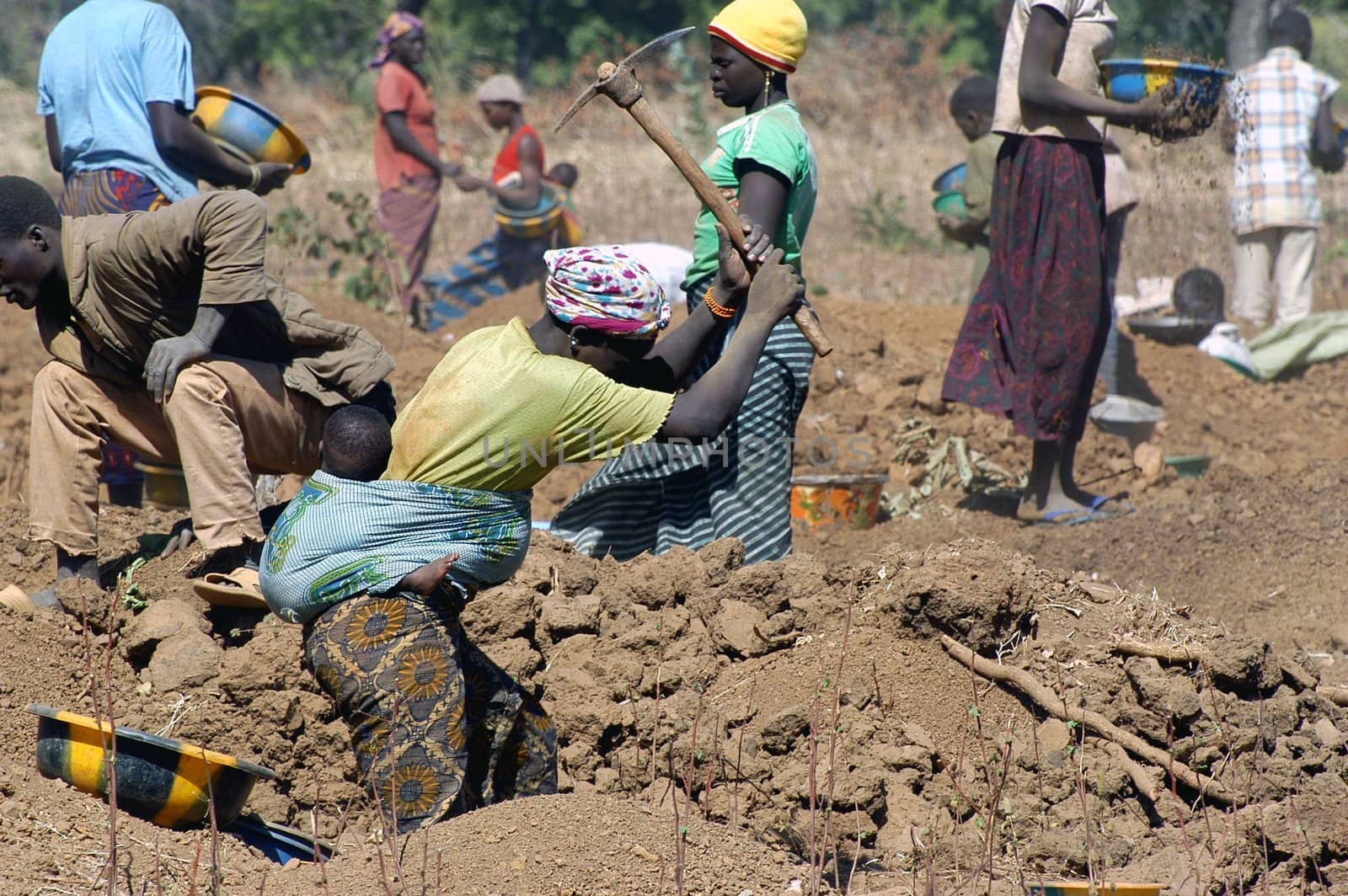 To the goldmine of Poura the gold diggers come from everywhere in the hope of finding a little gold after the season of the cultures. Women, children and men of very old are here in a universe of dust under a blazing sun. In Burkina Faso Faso the research of gold in the wild mines is the only activity which makes it possible to save the population of misery.                             