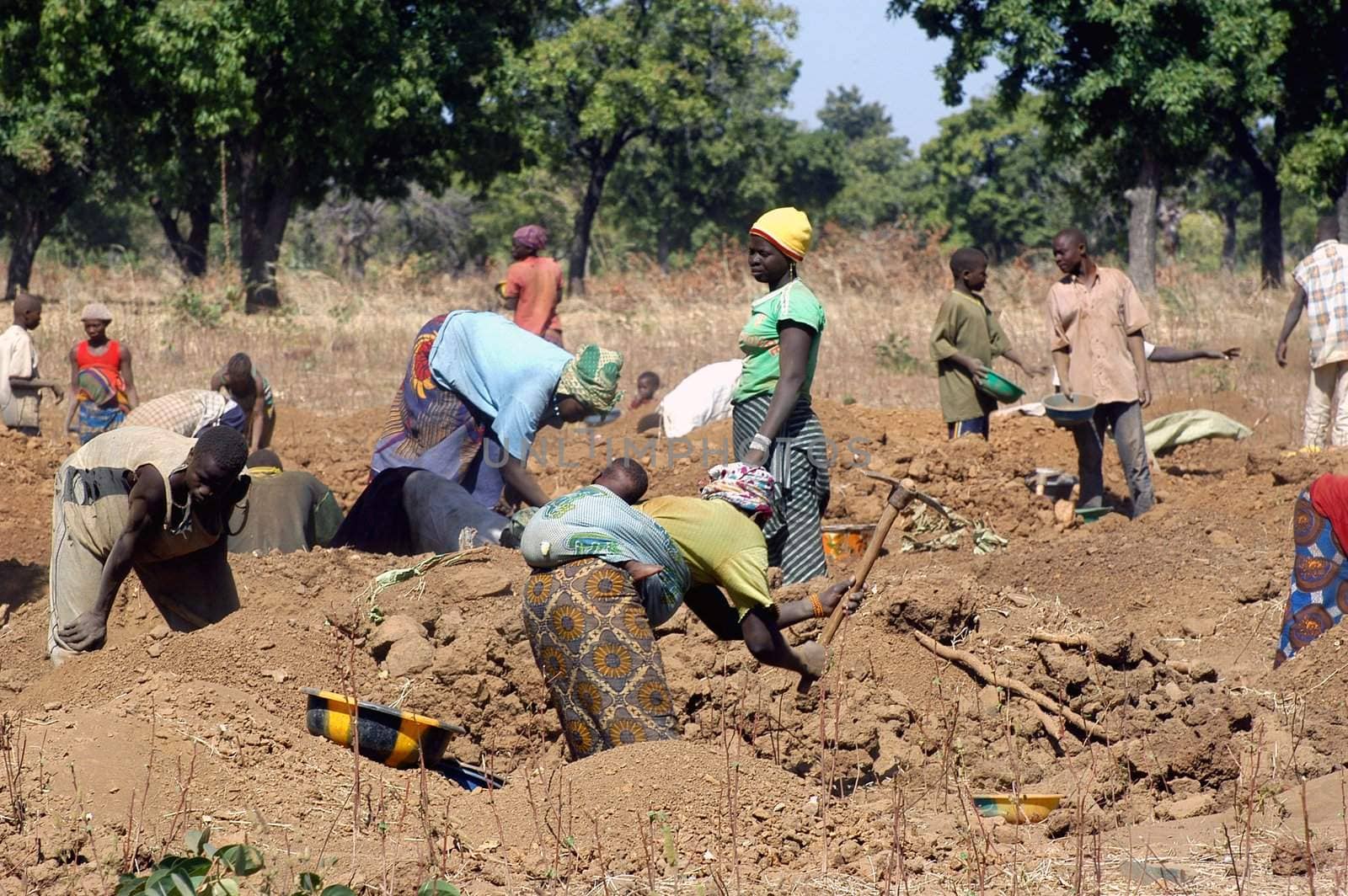 To the goldmine of Poura the gold diggers come from everywhere in the hope of finding a little gold after the season of the cultures. Women, children and men of very old are here in a universe of dust under a blazing sun. In Burkina Faso Faso the research of gold in the wild mines is the only activity which makes it possible to save the population of misery.                             
