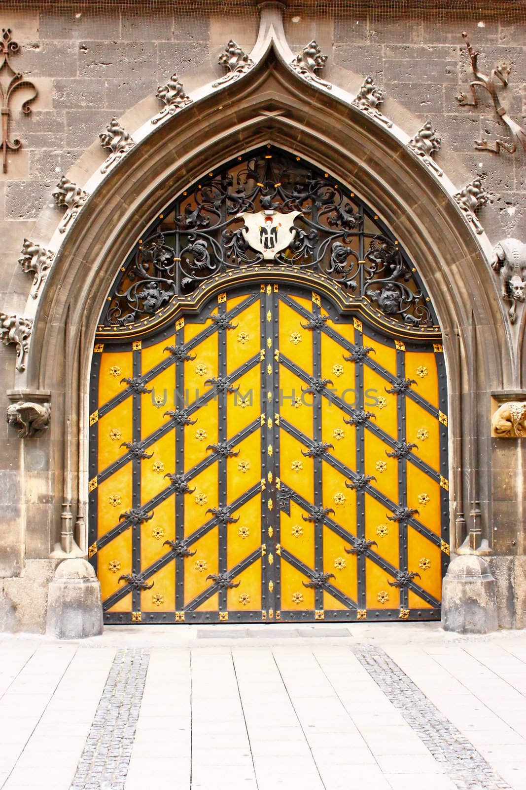 Old wooden entrance gate in a house, with iron ornaments